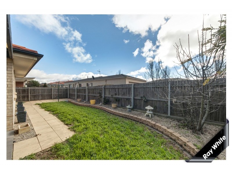 19 Rollston Street, Amaroo ACT 2914