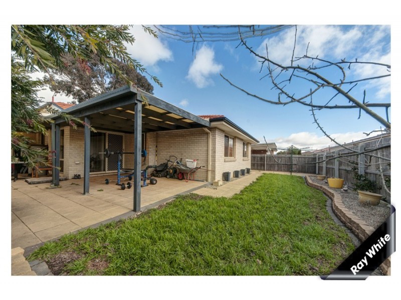 19 Rollston Street, Amaroo ACT 2914