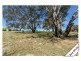 3 Ringarooma Circle, Amaroo ACT 2914