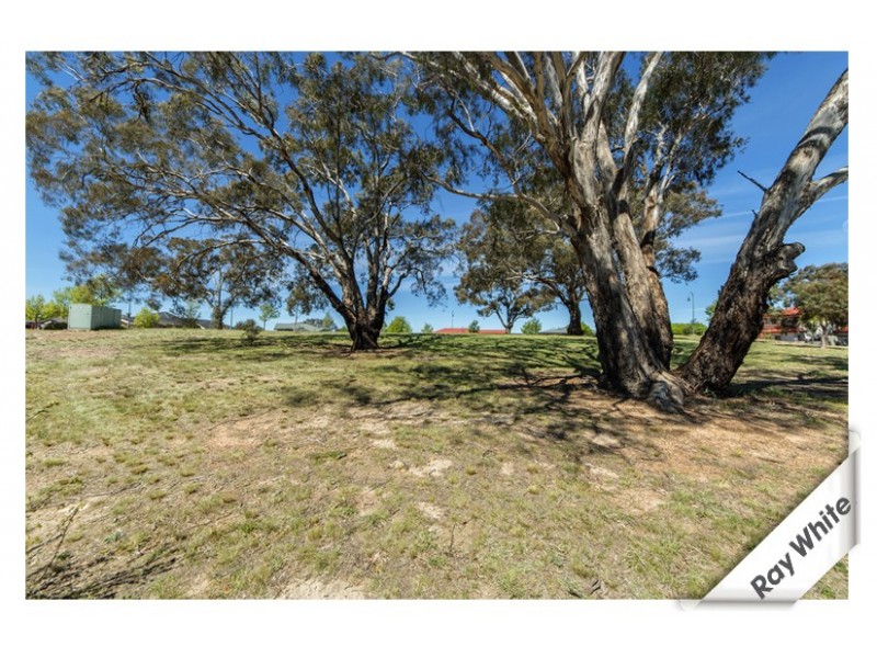 3 Ringarooma Circle, Amaroo ACT 2914