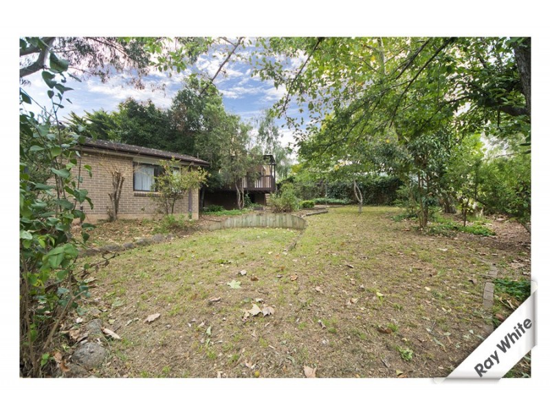 61 Lyttleton Crescent, Cook ACT 2614