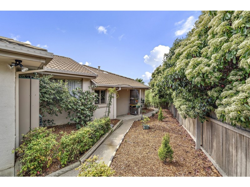 17 Weetman Place, Nicholls ACT 2913