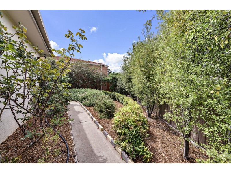 17 Weetman Place, Nicholls ACT 2913