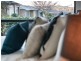 23 Wilenski Street, Casey ACT 2913