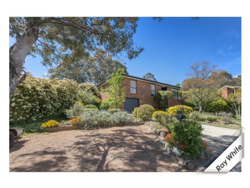 20 Jauncey Court, Charnwood ACT 2615