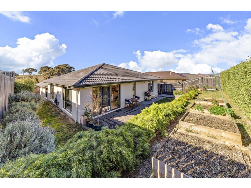 41 Margaret Tucker Street, Bonner ACT 2914