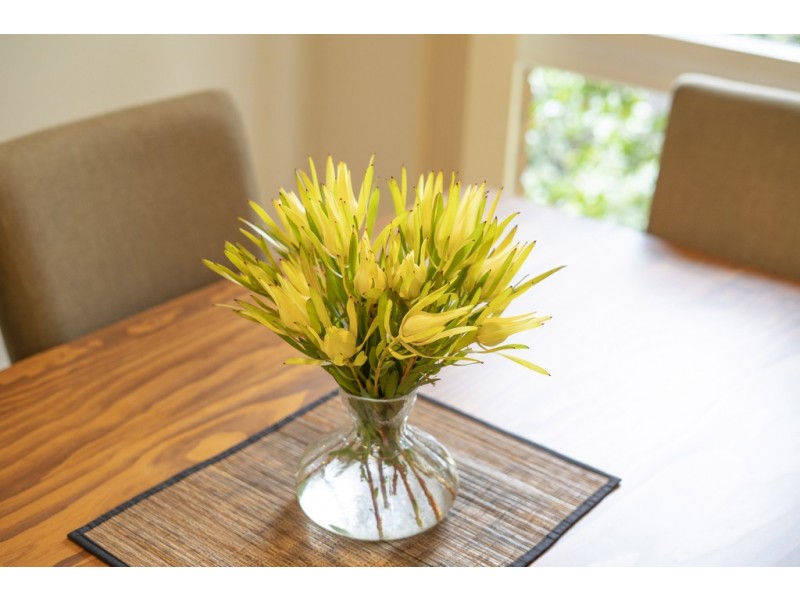 24 Hayward Street, Macgregor ACT 2615