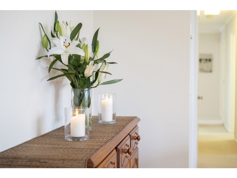 24 Hayward Street, Macgregor ACT 2615