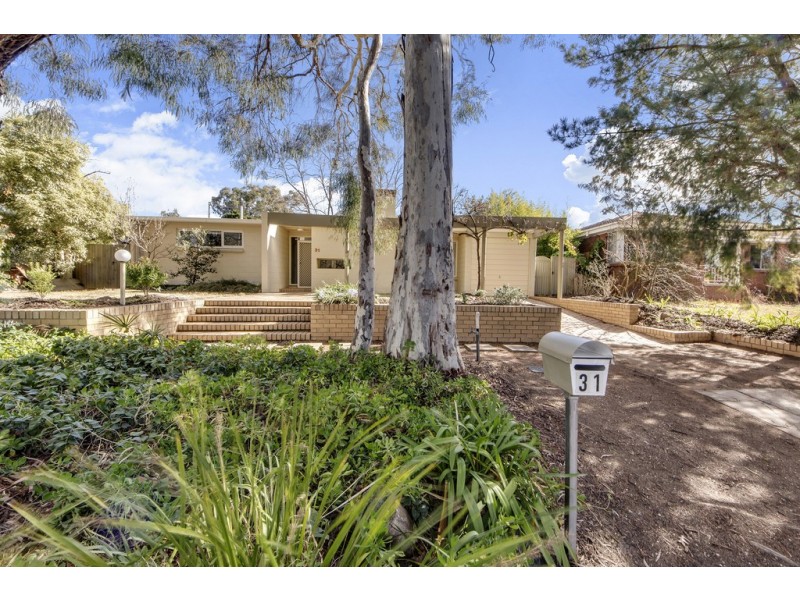 31 Liverpool Street, Macquarie ACT 2614