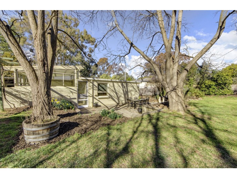31 Liverpool Street, Macquarie ACT 2614