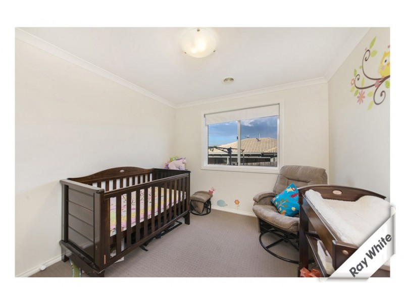 19 Dagmar Berne Street, Macgregor ACT 2615