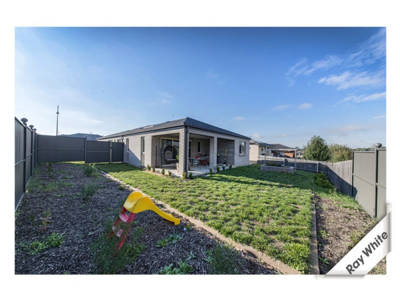 19 Dagmar Berne Street, Macgregor ACT 2615