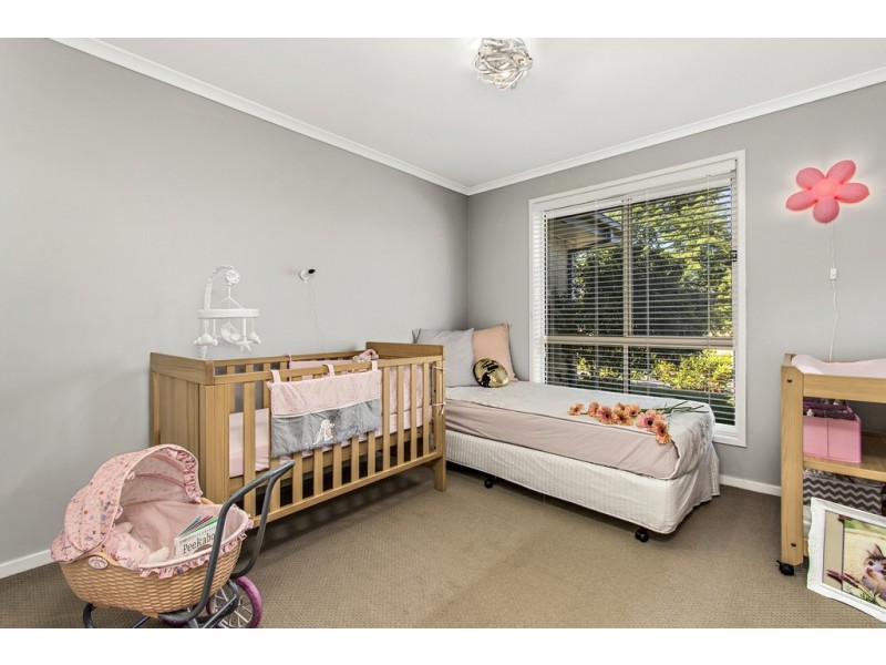 6 Eccles Circuit, Macgregor ACT 2615