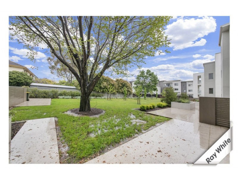 12/3 Towns Crescent, Turner ACT 2612