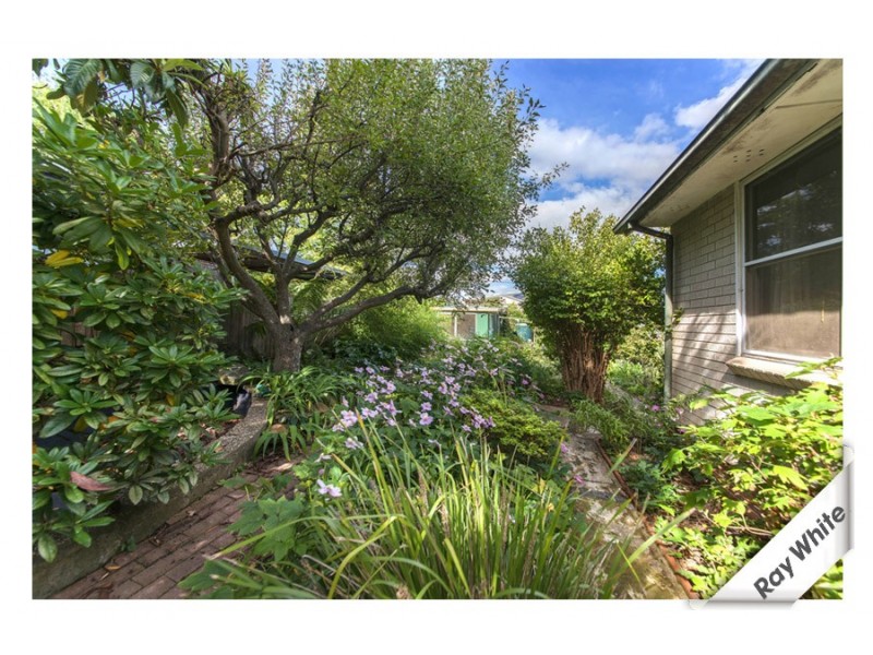 8 Brigalow Street, O’connor ACT 2602