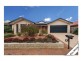 14 Alice Cummins Street, Gungahlin ACT 2912