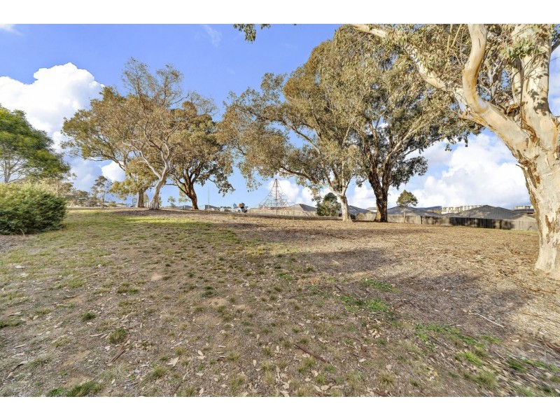 43 John Crawford Crescent, Casey ACT 2913