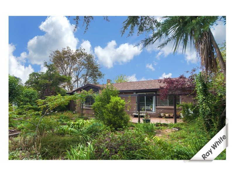 14 Roberts Street, Macquarie ACT 2614