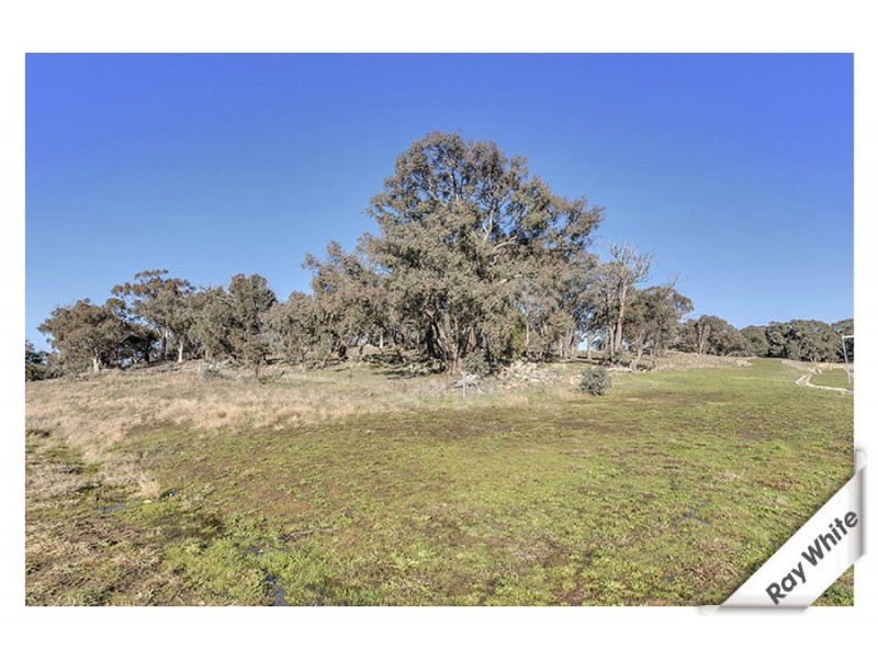 24 Wighton Terrace, Casey ACT 2913