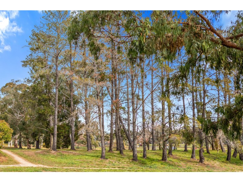 62 Lachlan Street, Macquarie ACT 2614