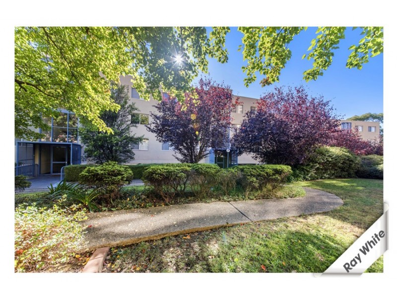 49/17 Chandler Street, Belconnen ACT 2617