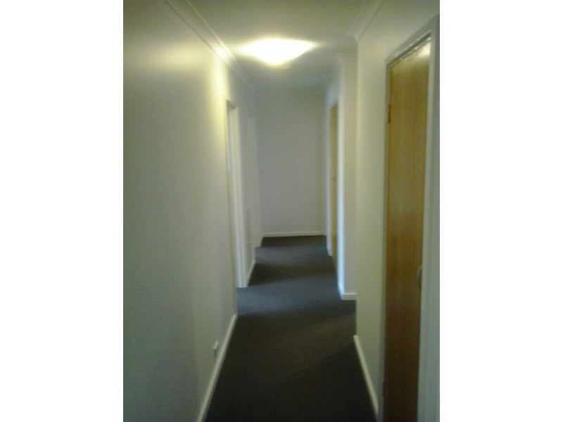 40 Hillebrand Street, Page ACT 2614