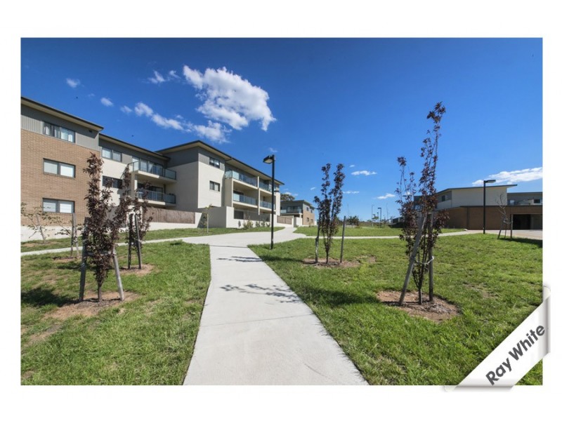 16/307 Flemington Road, Franklin ACT 2913