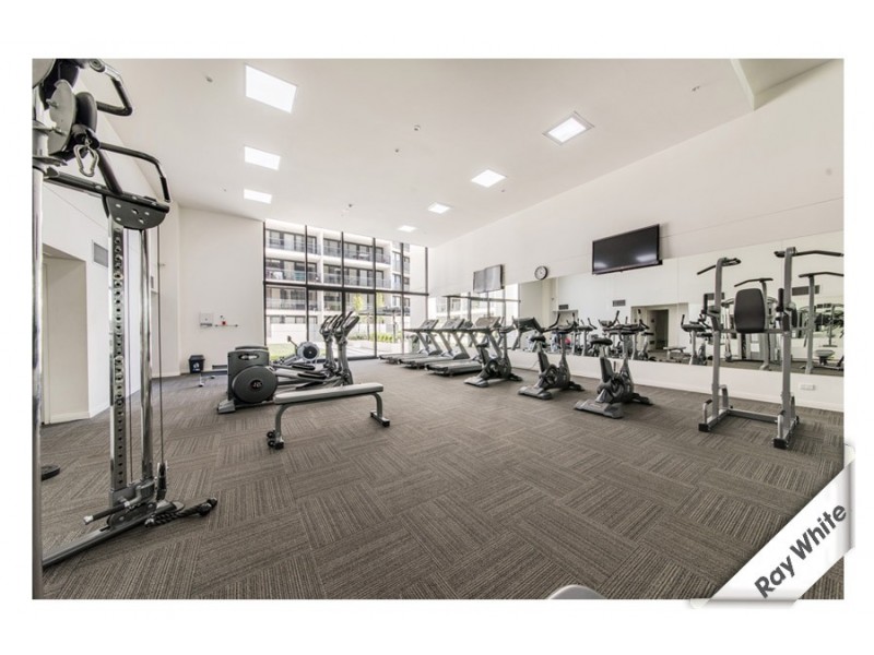 3/1 Mouat Street, Lyneham ACT 2602