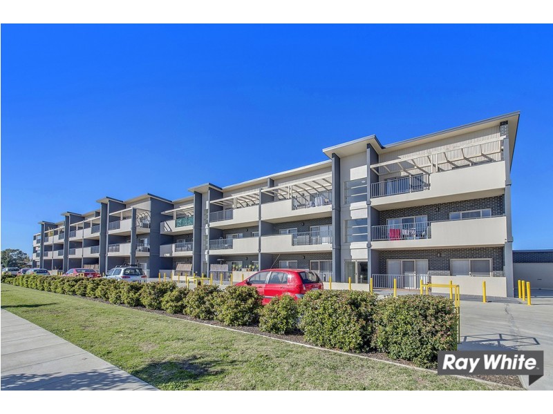 20/16 David Miller Crescent, Casey ACT 2913