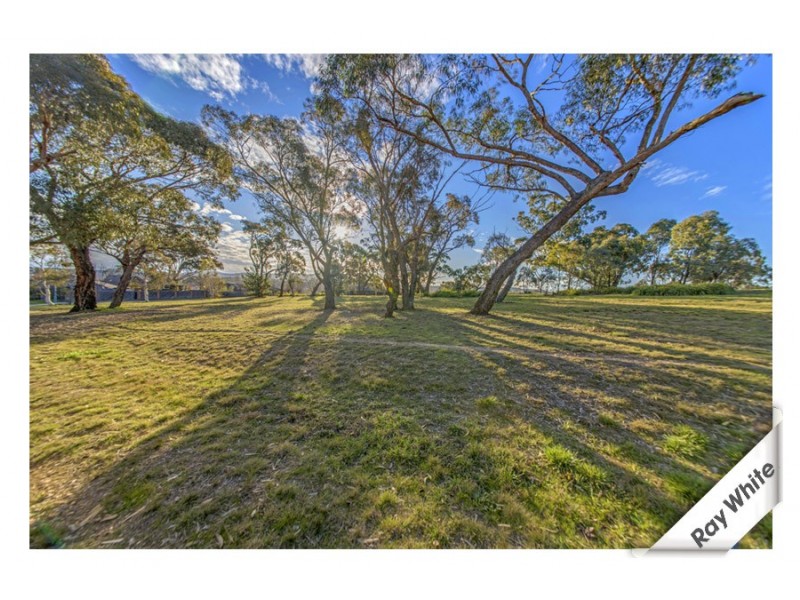 4/8 Proserpine Circuit, Amaroo ACT 2914
