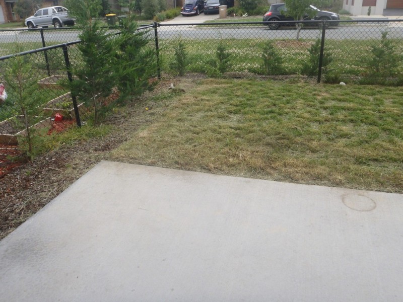 4/56 Christina Stead Street, Franklin ACT 2913