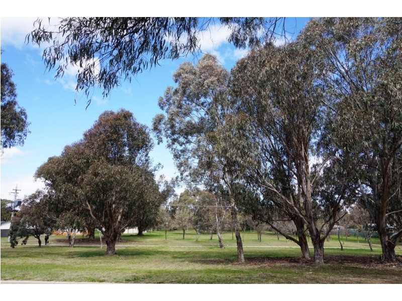 4 Homann Place, Flynn ACT 2615