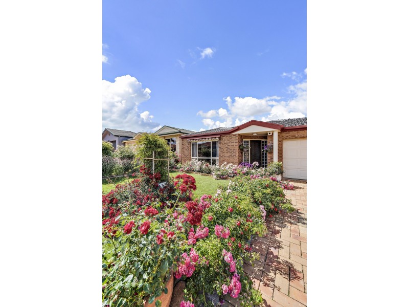 17 Ibis Street, Nicholls ACT 2913