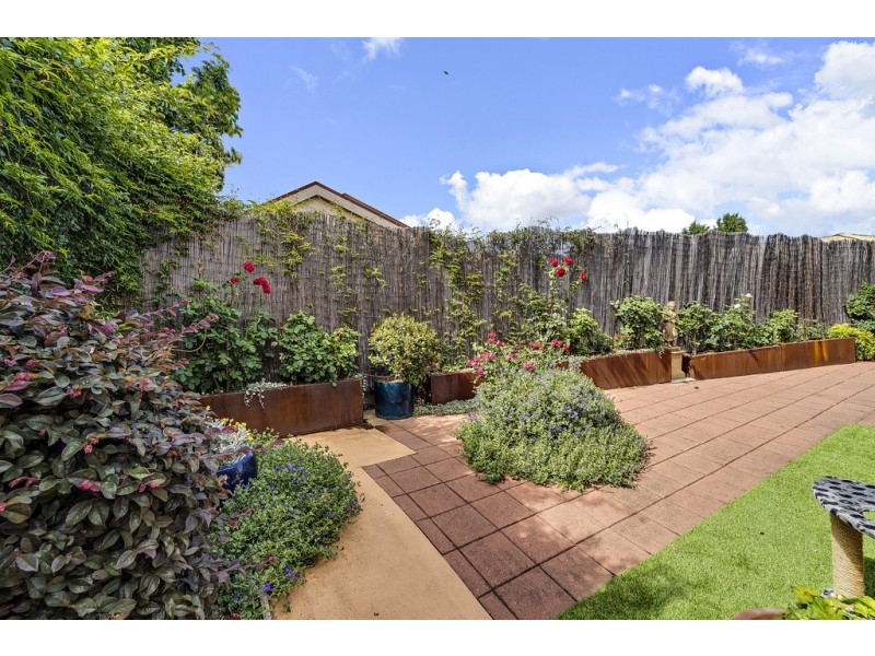 17 Ibis Street, Nicholls ACT 2913