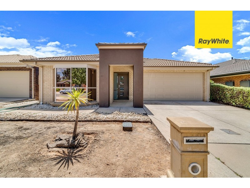 6 Joan Long Street, Franklin ACT 2913