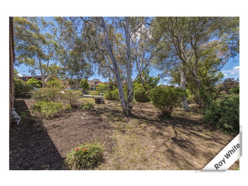 36 Powlett St, Kaleen ACT 2617