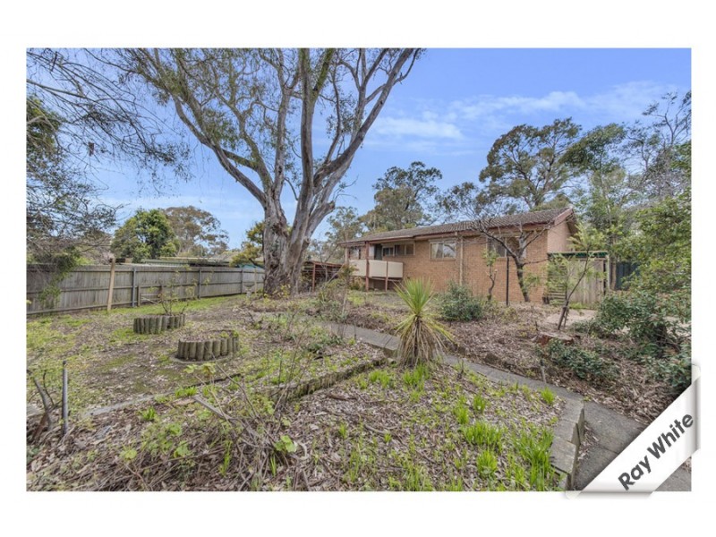 8 Birnie Place, Charnwood ACT 2615