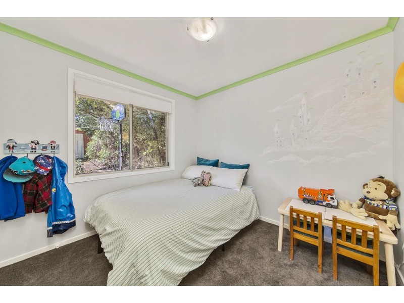 3 Zamia Place, Palmerston ACT 2913