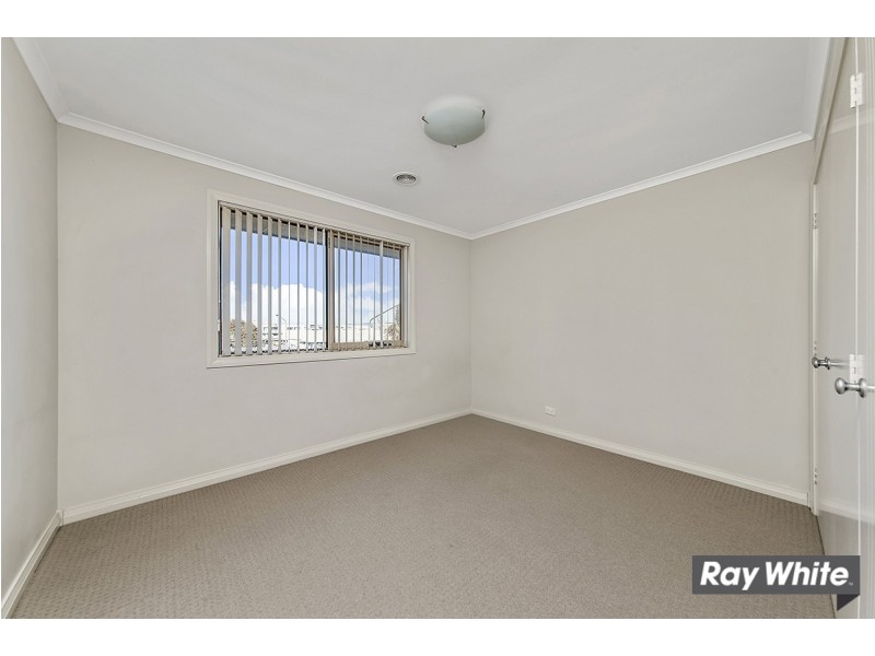 101A Anthony Rolfe Avenue, Gungahlin ACT 2912