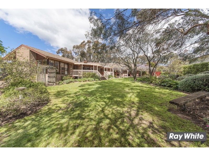 97 Springvale Drive, Weetangera ACT 2614
