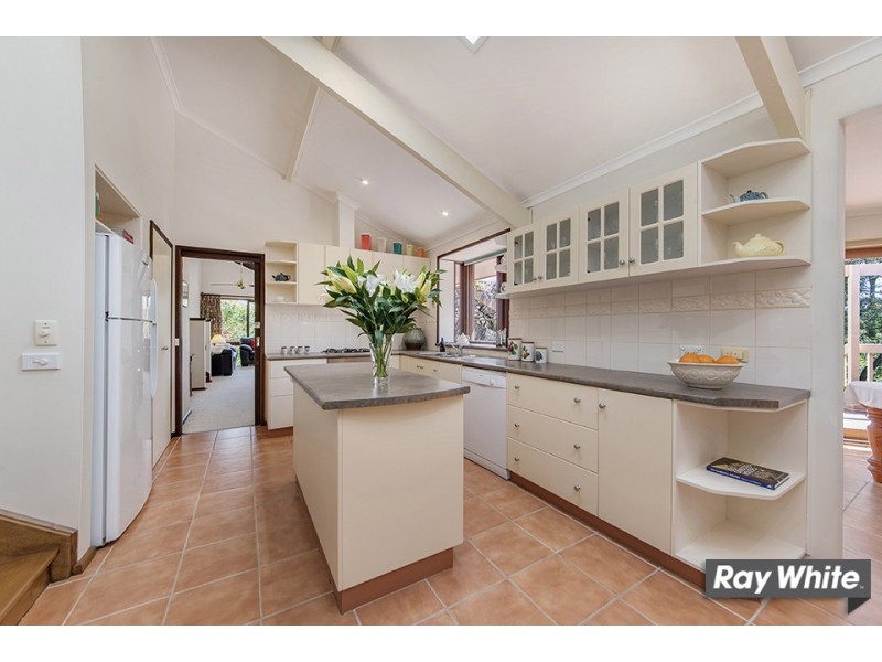 97 Springvale Drive, Weetangera ACT 2614