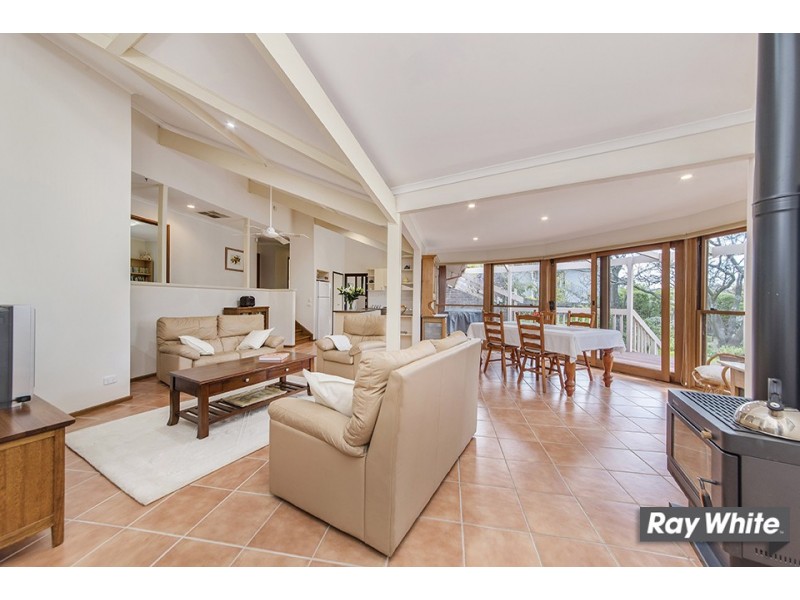 97 Springvale Drive, Weetangera ACT 2614