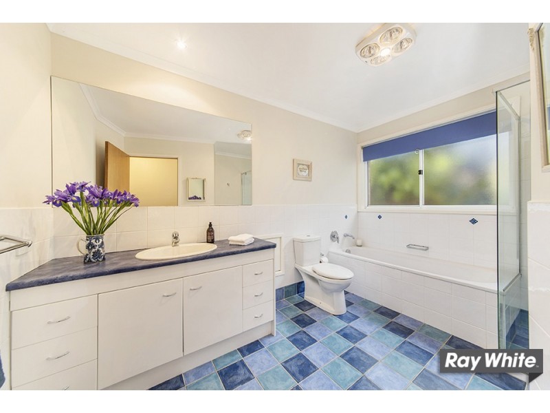 97 Springvale Drive, Weetangera ACT 2614