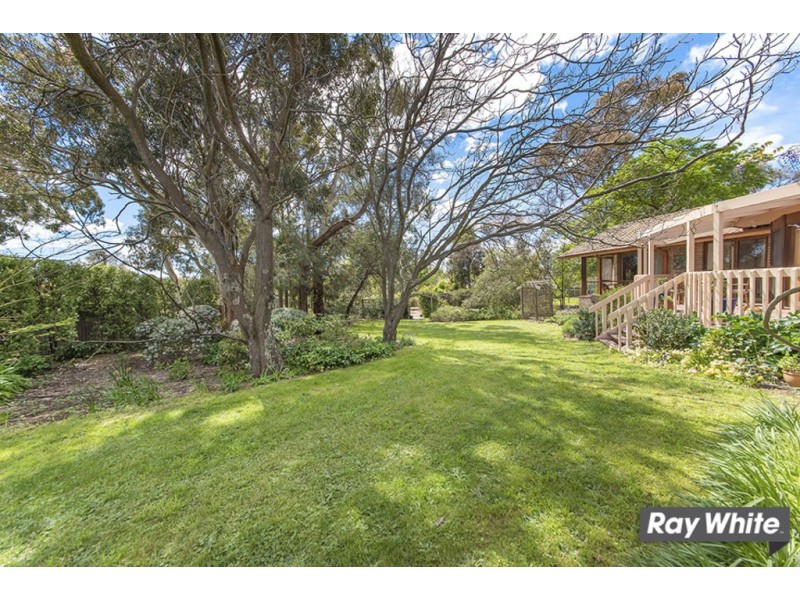 97 Springvale Drive, Weetangera ACT 2614