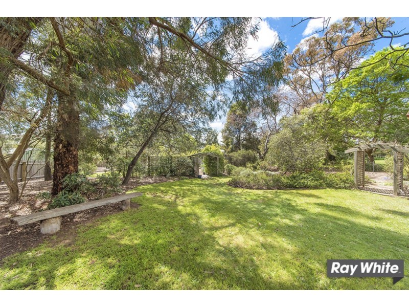 97 Springvale Drive, Weetangera ACT 2614