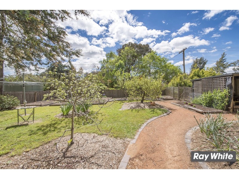 97 Springvale Drive, Weetangera ACT 2614