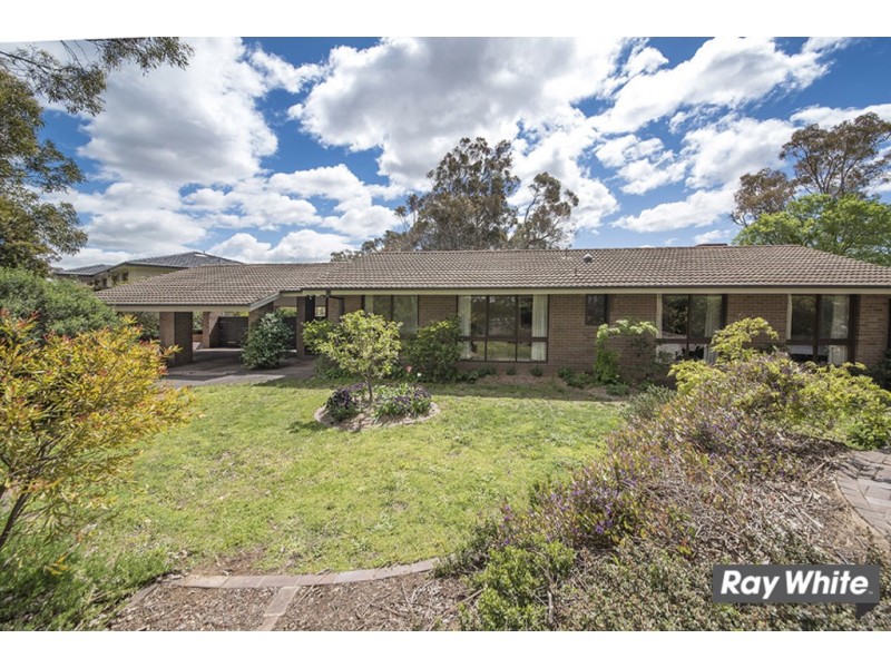 97 Springvale Drive, Weetangera ACT 2614