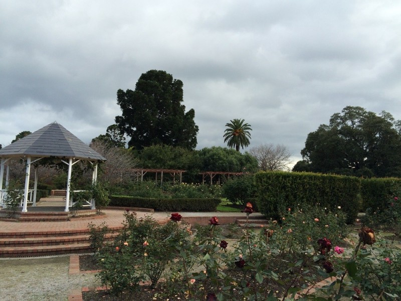 5/16 Tennyson Street, Elwood VIC 3184