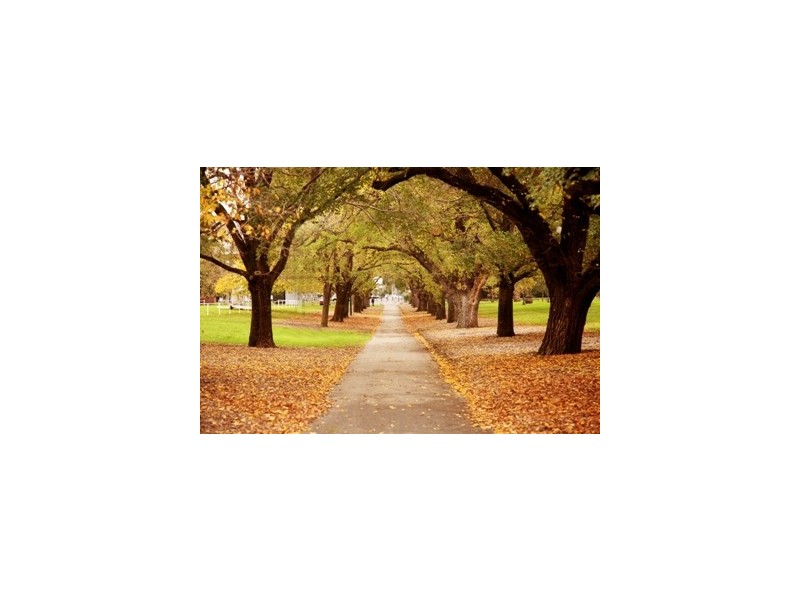 5/16 Tennyson Street, Elwood VIC 3184