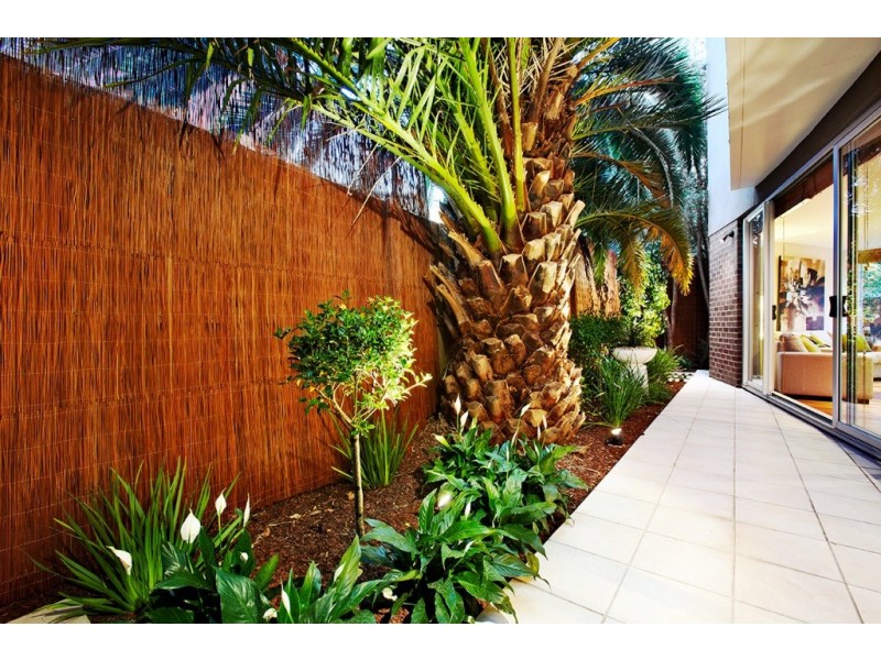 3 3-5 Daley Street, Elwood VIC 3184